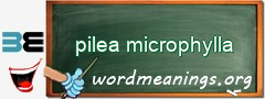 WordMeaning blackboard for pilea microphylla